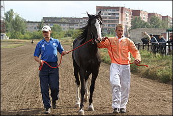 19 августа 2007г., Барнаул   Конно-спортивные состязания на "Кубок губернатора" (фото Кристины Красниковой)