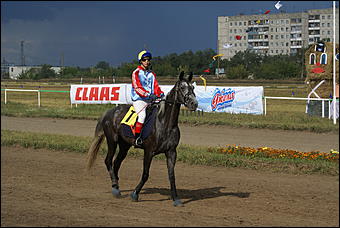 19 августа 2007г., Барнаул   Конно-спортивные состязания на "Кубок губернатора" (фото Кристины Красниковой)