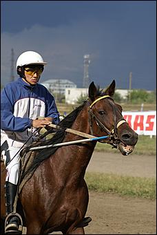 19 августа 2007г., Барнаул   Конно-спортивные состязания на "Кубок губернатора" (фото Кристины Красниковой)