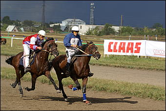 19 августа 2007г., Барнаул   Конно-спортивные состязания на "Кубок губернатора" (фото Кристины Красниковой)