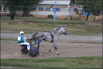 19 августа 2007г., Барнаул   Конно-спортивные состязания на "Кубок губернатора" (фото Кристины Красниковой)