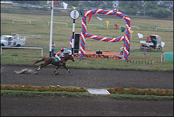 19 августа 2007г., Барнаул   Конно-спортивные состязания на "Кубок губернатора" (фото Кристины Красниковой)