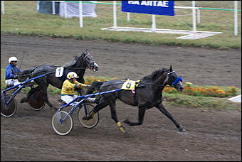 19 августа 2007г., Барнаул   Конно-спортивные состязания на "Кубок губернатора" (фото Кристины Красниковой)