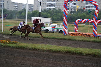 19 августа 2007г., Барнаул   Конно-спортивные состязания на "Кубок губернатора" (фото Кристины Красниковой)