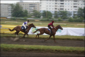 19 августа 2007г., Барнаул   Конно-спортивные состязания на "Кубок губернатора" (фото Кристины Красниковой)