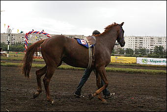 19 августа 2007г., Барнаул   Конно-спортивные состязания на "Кубок губернатора" (фото Кристины Красниковой)
