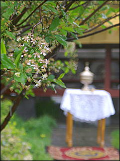 23 мая 2009 г., Барнаул   Установка позолоченного купола на Знаменском храме в Барнауле