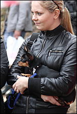 19 апрель 2014 г., Барнаул   Апрельский кураж