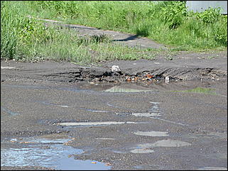 16 июня 2011 г., Барнаул   "Многострадальная" улица Кутузова