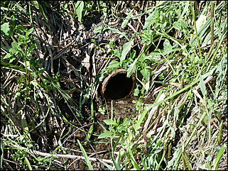 16 июня 2011 г., Барнаул   "Многострадальная" улица Кутузова