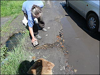 16 июня 2011 г., Барнаул   "Многострадальная" улица Кутузова