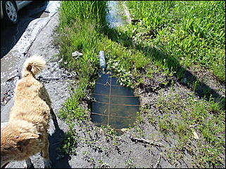 16 июня 2011 г., Барнаул   "Многострадальная" улица Кутузова
