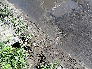 16 июня 2011 г., Барнаул   "Многострадальная" улица Кутузова