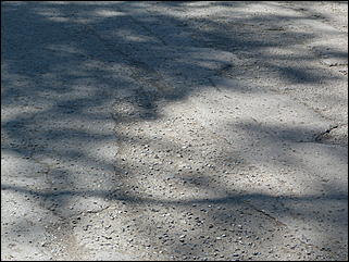 16 июня 2011 г., Барнаул   "Многострадальная" улица Кутузова