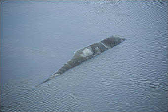 13 апреля 2018 г., Барнаул. Екатерина Смолихина   Барнаульский ледоход на День космонавтики