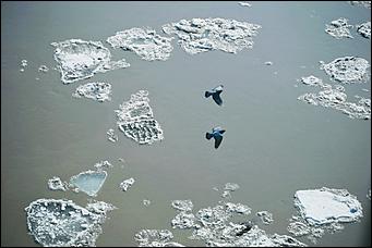 16 апреля 2021 г., Барнаул   Мощь и красота барнаульского ледохода