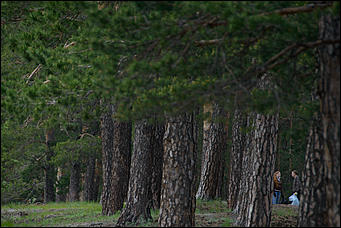 1 июнь 2013 г., Барнаул   Уникальный ленточный бор стал чище (фото А. Баулина)
