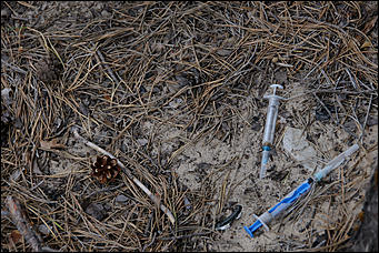 1 июнь 2013 г., Барнаул   Уникальный ленточный бор стал чище (фото А. Баулина)