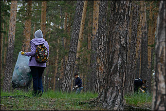 1 июнь 2013 г., Барнаул   Уникальный ленточный бор стал чище (фото А. Баулина)