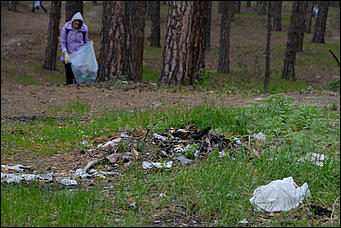 1 июнь 2013 г., Барнаул   Уникальный ленточный бор стал чище (фото А. Баулина)