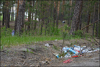 1 июнь 2013 г., Барнаул   Уникальный ленточный бор стал чище (фото А. Баулина)