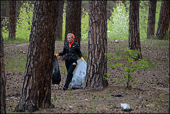 1 июнь 2013 г., Барнаул   Уникальный ленточный бор стал чище (фото А. Баулина)