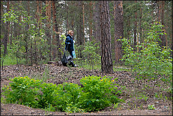 1 июнь 2013 г., Барнаул   Уникальный ленточный бор стал чище (фото А. Баулина)