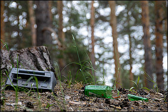 1 июнь 2013 г., Барнаул   Уникальный ленточный бор стал чище (фото А. Баулина)