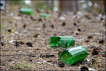 1 июнь 2013 г., Барнаул   Уникальный ленточный бор стал чище (фото А. Баулина)