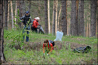1 июнь 2013 г., Барнаул   Уникальный ленточный бор стал чище (фото А. Баулина)