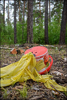 1 июнь 2013 г., Барнаул   Уникальный ленточный бор стал чище (фото А. Баулина)