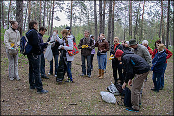 1 июнь 2013 г., Барнаул   Уникальный ленточный бор стал чище (фото А. Баулина)