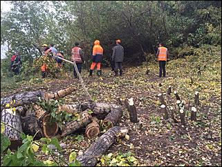 Демонтаж лестницы на ВДНХ в Барнауле   Демонтаж лестницы на ВДНХ в Барнауле