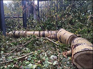 Демонтаж лестницы на ВДНХ в Барнауле   Демонтаж лестницы на ВДНХ в Барнауле