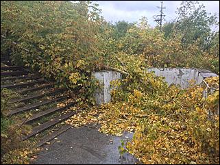 Демонтаж лестницы на ВДНХ в Барнауле   Демонтаж лестницы на ВДНХ в Барнауле