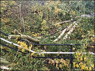 Демонтаж лестницы на ВДНХ в Барнауле   Демонтаж лестницы на ВДНХ в Барнауле