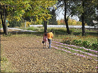 18 сентября 2011 г., Барнаул   Барнаульцы на прогулке в НИИ им. Лисавенко