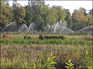 18 сентября 2011 г., Барнаул   Барнаульцы на прогулке в НИИ им. Лисавенко