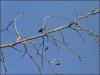 18 сентября 2011 г., Барнаул   Барнаульцы на прогулке в НИИ им. Лисавенко