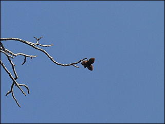 18 сентября 2011 г., Барнаул   Барнаульцы на прогулке в НИИ им. Лисавенко