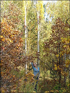 18 сентября 2011 г., Барнаул   Барнаульцы на прогулке в НИИ им. Лисавенко