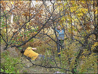 18 сентября 2011 г., Барнаул   Барнаульцы на прогулке в НИИ им. Лисавенко