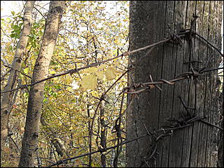 18 сентября 2011 г., Барнаул   Барнаульцы на прогулке в НИИ им. Лисавенко