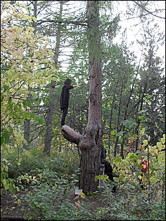 18 сентября 2011 г., Барнаул   Барнаульцы на прогулке в НИИ им. Лисавенко