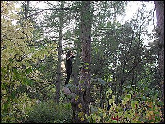 18 сентября 2011 г., Барнаул   Барнаульцы на прогулке в НИИ им. Лисавенко