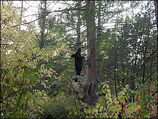 18 сентября 2011 г., Барнаул   Барнаульцы на прогулке в НИИ им. Лисавенко