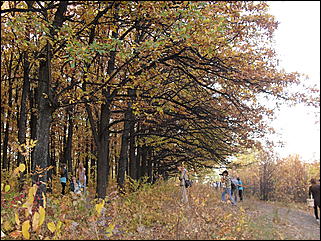18 сентября 2011 г., Барнаул   Барнаульцы на прогулке в НИИ им. Лисавенко