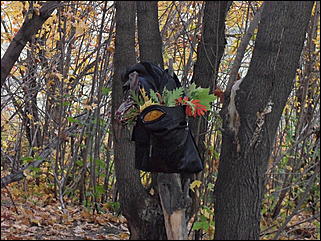 18 сентября 2011 г., Барнаул   Барнаульцы на прогулке в НИИ им. Лисавенко