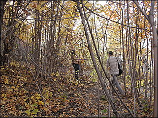 18 сентября 2011 г., Барнаул   Барнаульцы на прогулке в НИИ им. Лисавенко