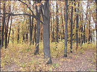 18 сентября 2011 г., Барнаул   Барнаульцы на прогулке в НИИ им. Лисавенко